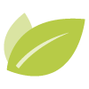 FreshStart-Loan-Icon